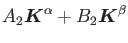 $\displaystyle A_2 {\mbox{\boldmath$K$}}^{\alpha} + B_2 {\mbox{\boldmath$K$}}^{\beta}$