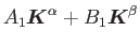 $\displaystyle A_1 {\mbox{\boldmath$K$}}^{\alpha} + B_1 {\mbox{\boldmath$K$}}^{\beta}$